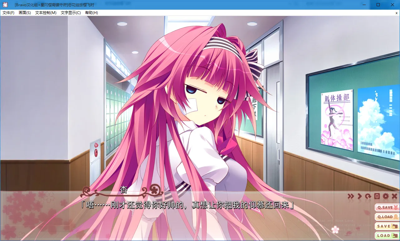 点击放大 恋花绽放樱飞时