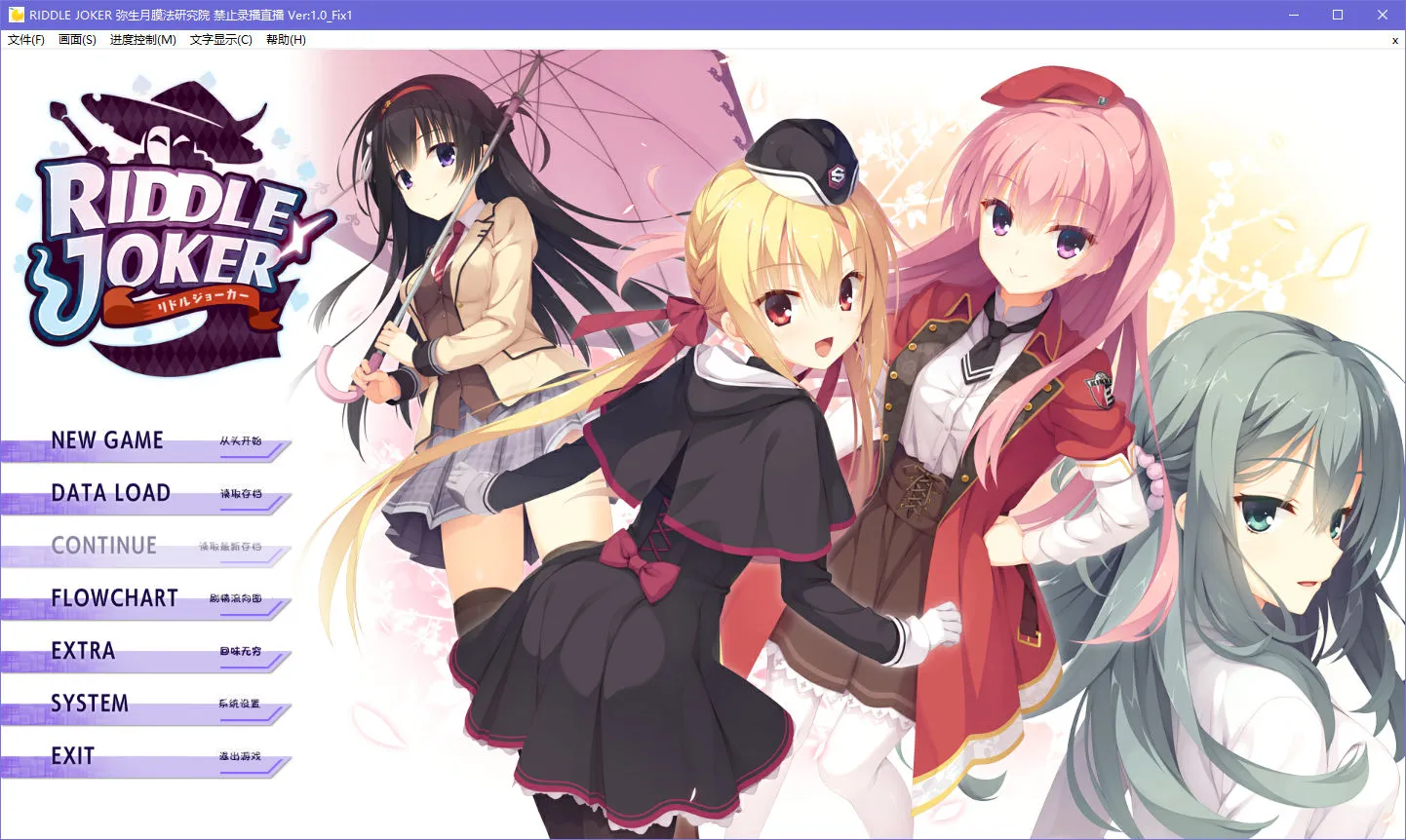 点击放大 RIDDLE JOKER