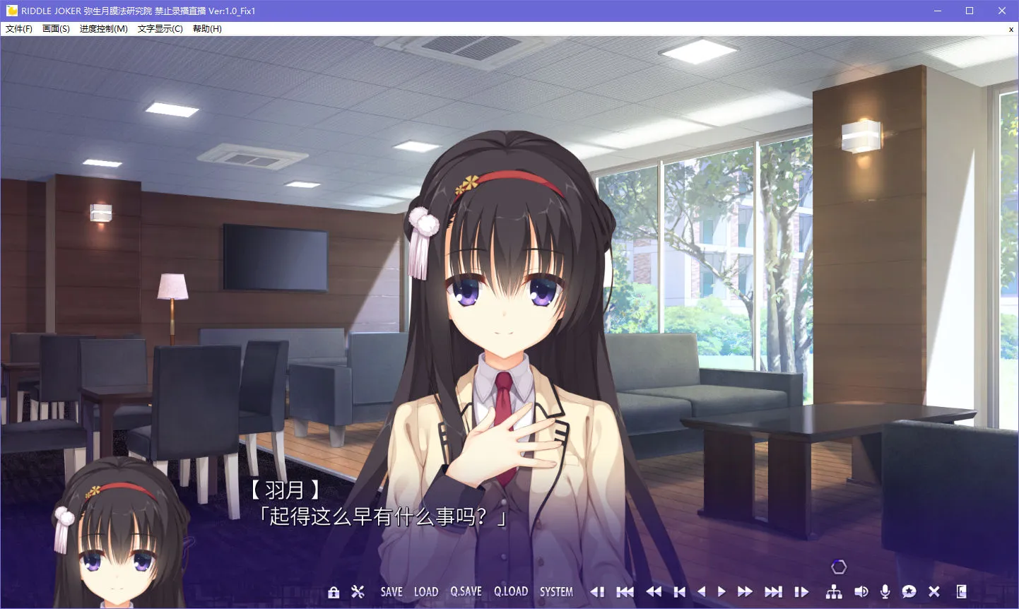 点击放大 RIDDLE JOKER