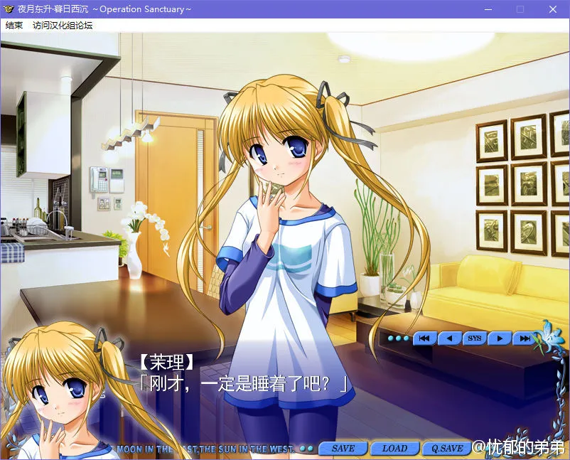 夜月东升•暮日西沉～Operation Sanctuary～